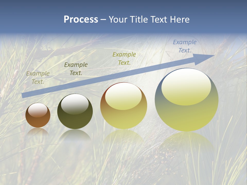 Vegetable Pines Nature PowerPoint Template