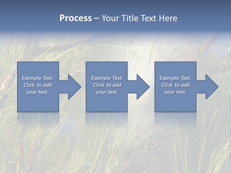 Vegetable Pines Nature PowerPoint Template