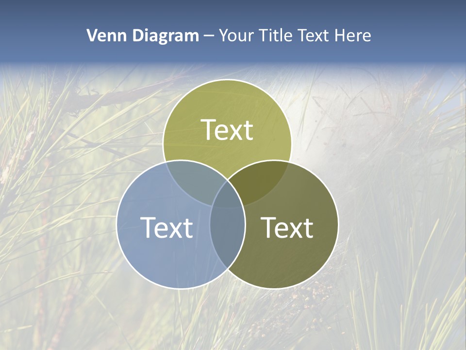 Vegetable Pines Nature PowerPoint Template