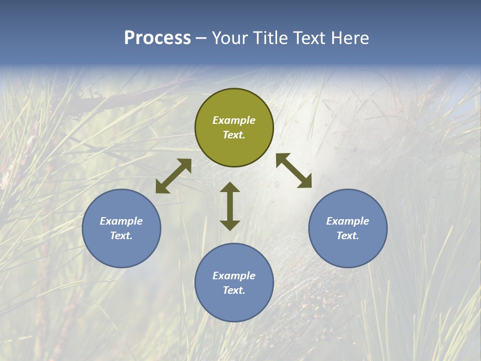 Vegetable Pines Nature PowerPoint Template