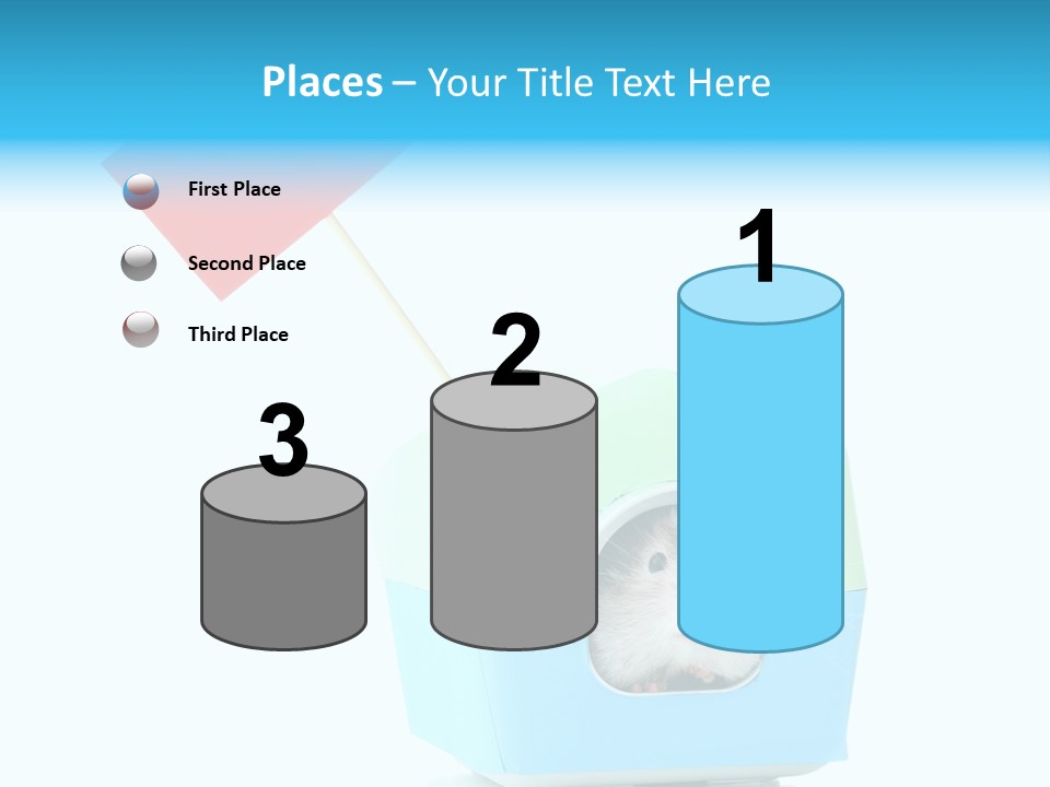 Background Cheek Hamster PowerPoint Template