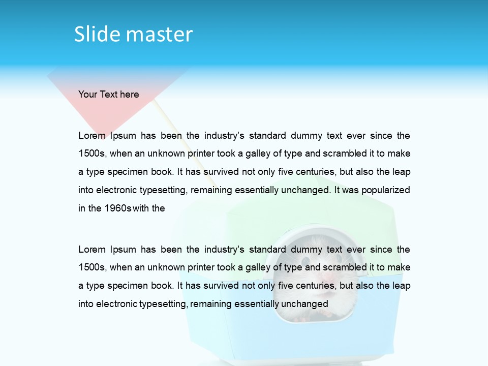 Background Cheek Hamster PowerPoint Template