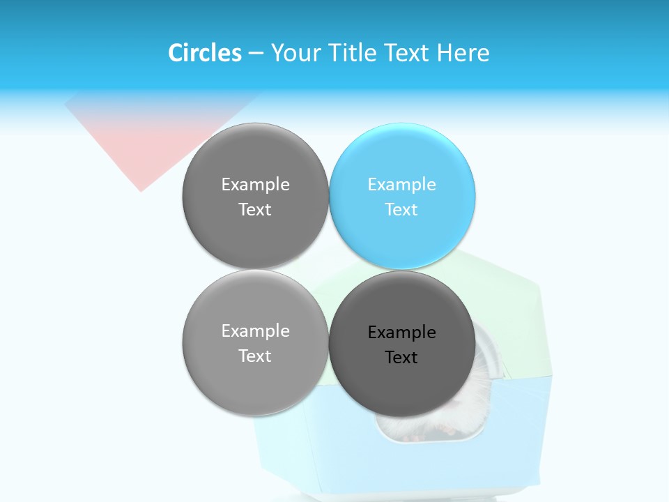 Background Cheek Hamster PowerPoint Template