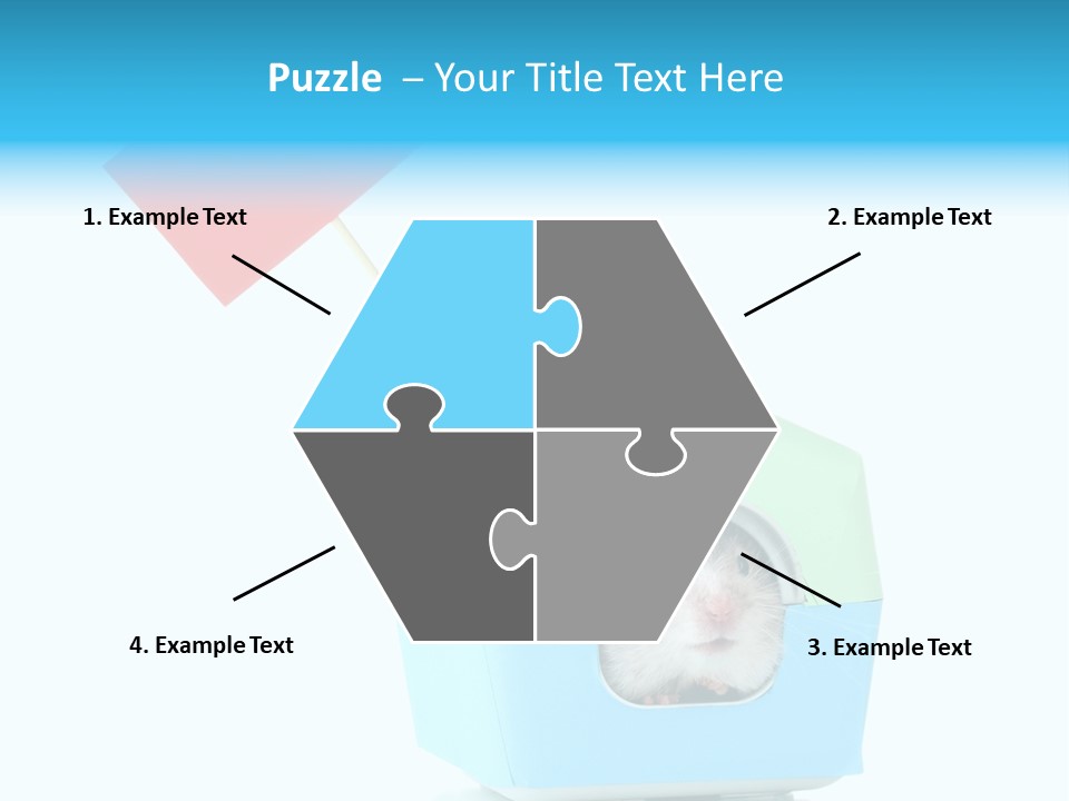 Background Cheek Hamster PowerPoint Template