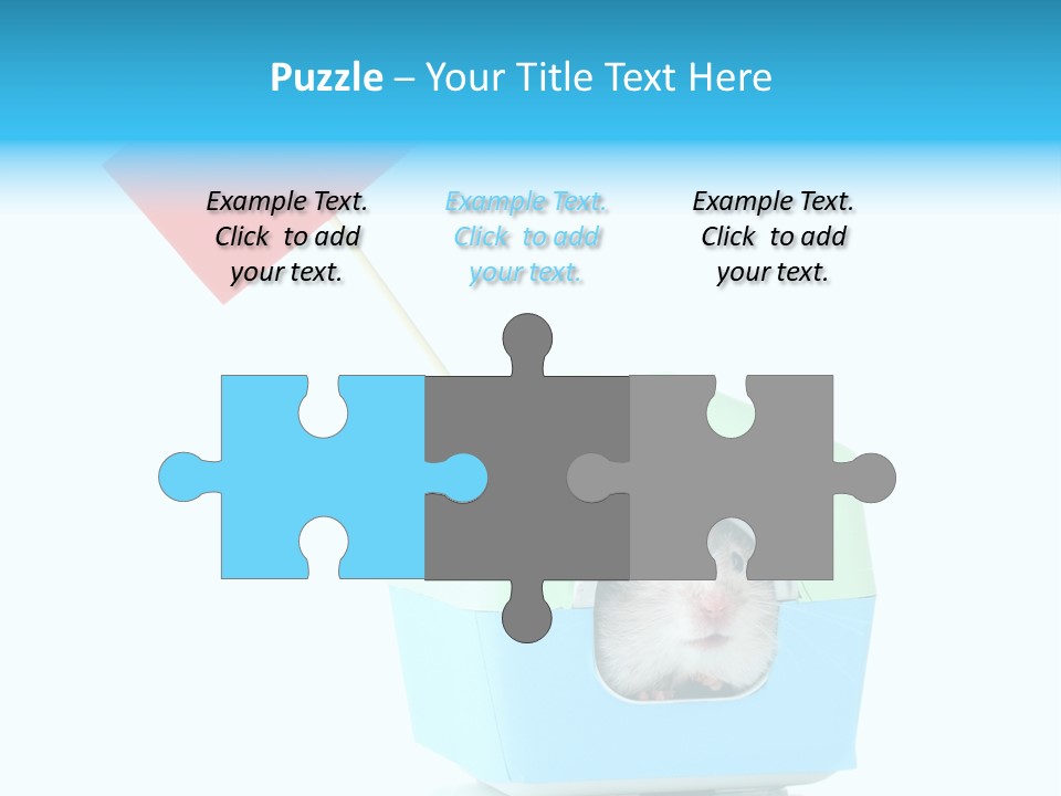 Background Cheek Hamster PowerPoint Template