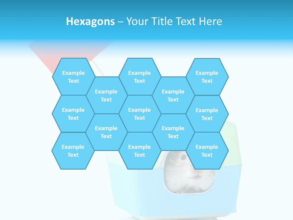Background Cheek Hamster PowerPoint Template