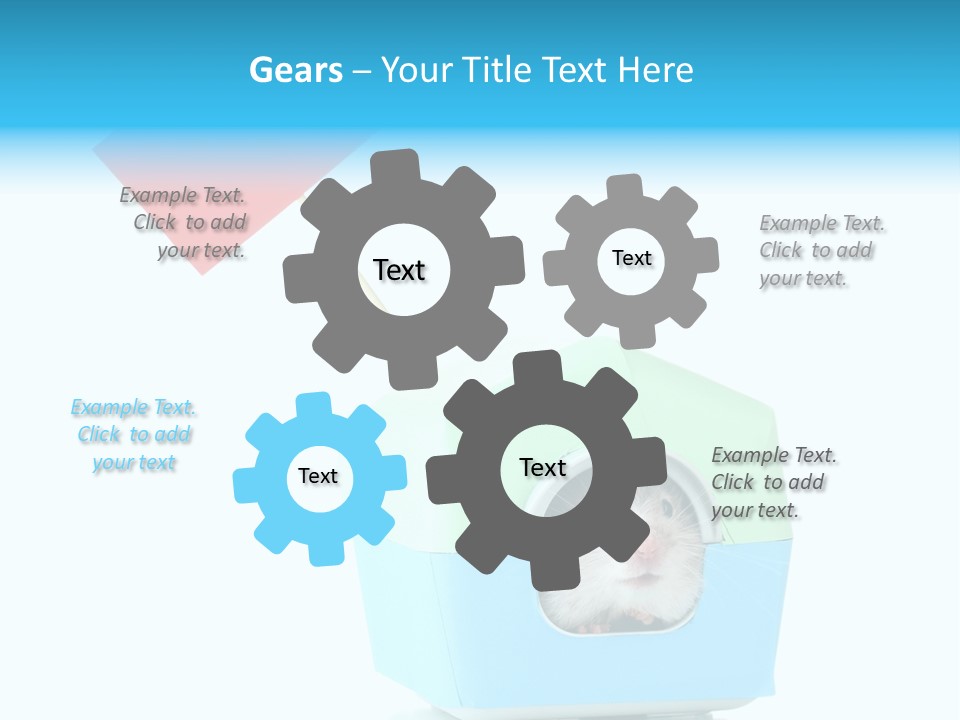 Background Cheek Hamster PowerPoint Template