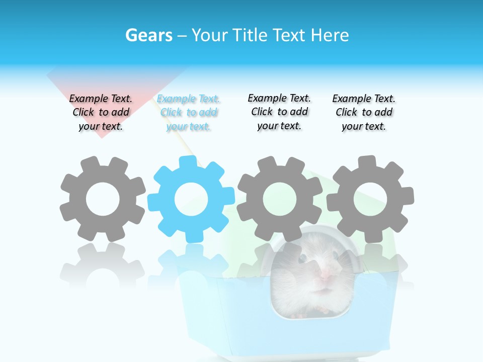 Background Cheek Hamster PowerPoint Template