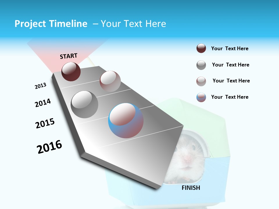Background Cheek Hamster PowerPoint Template