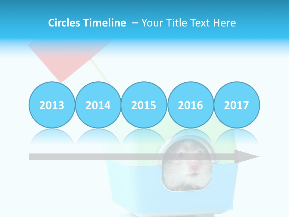Background Cheek Hamster PowerPoint Template