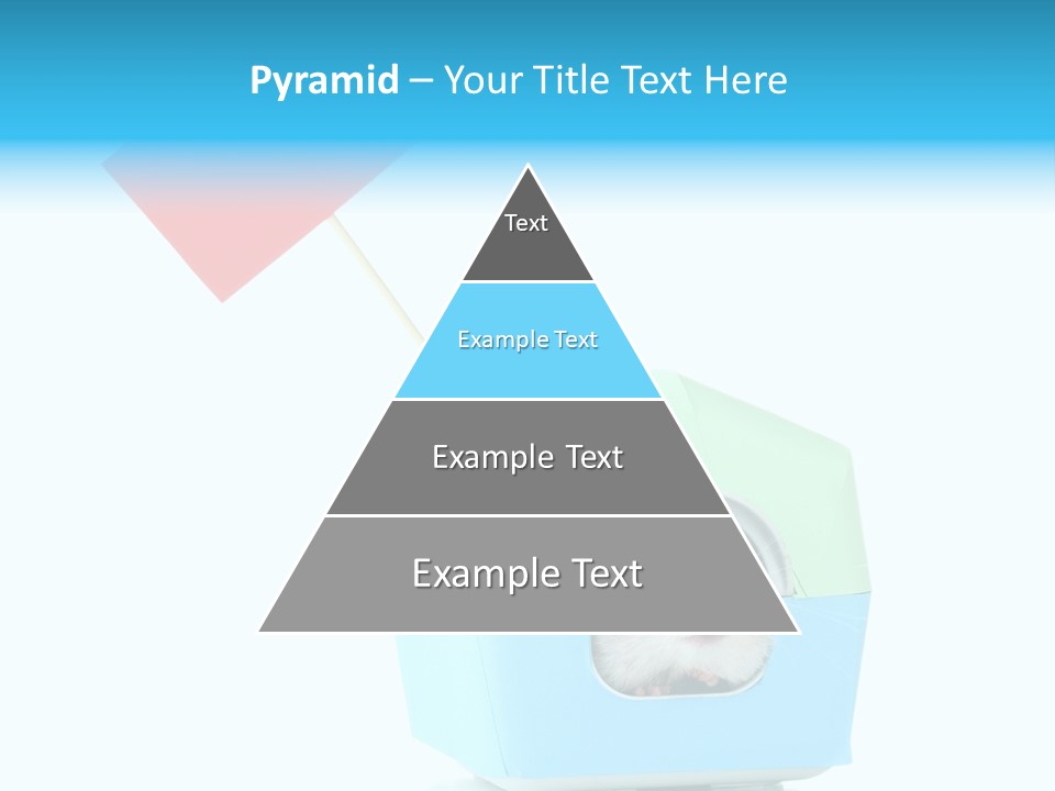 Background Cheek Hamster PowerPoint Template