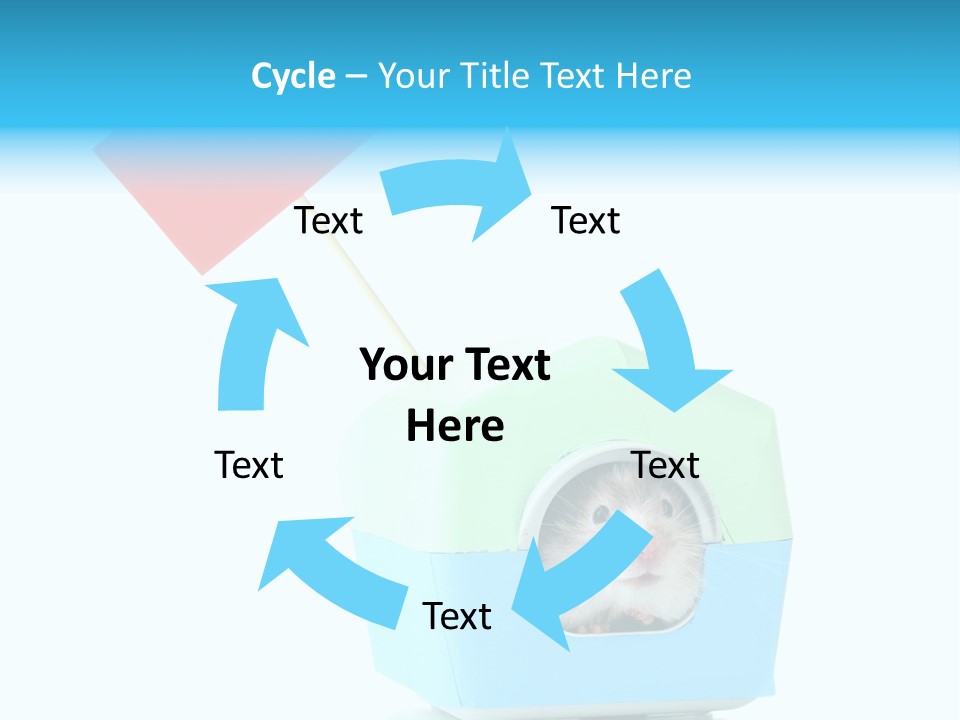 Background Cheek Hamster PowerPoint Template