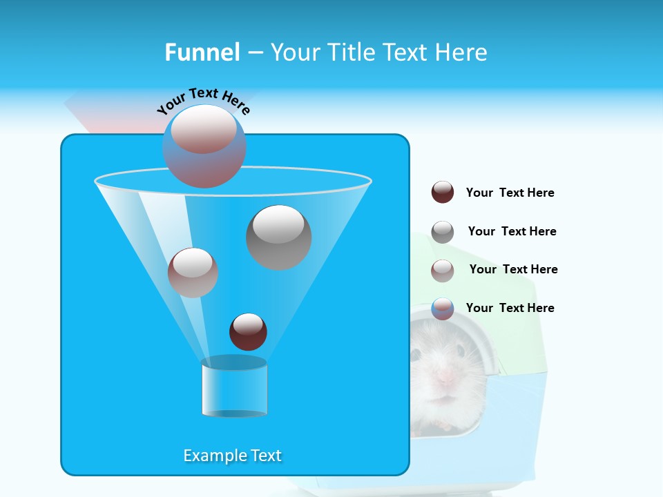 Background Cheek Hamster PowerPoint Template