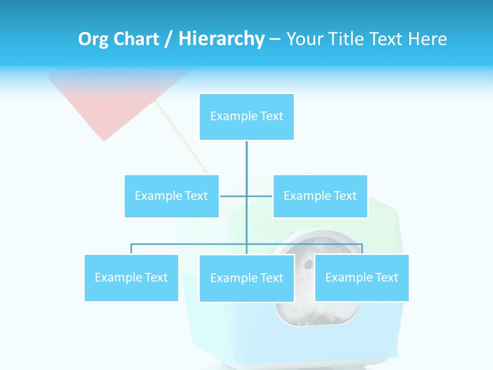 Background Cheek Hamster PowerPoint Template