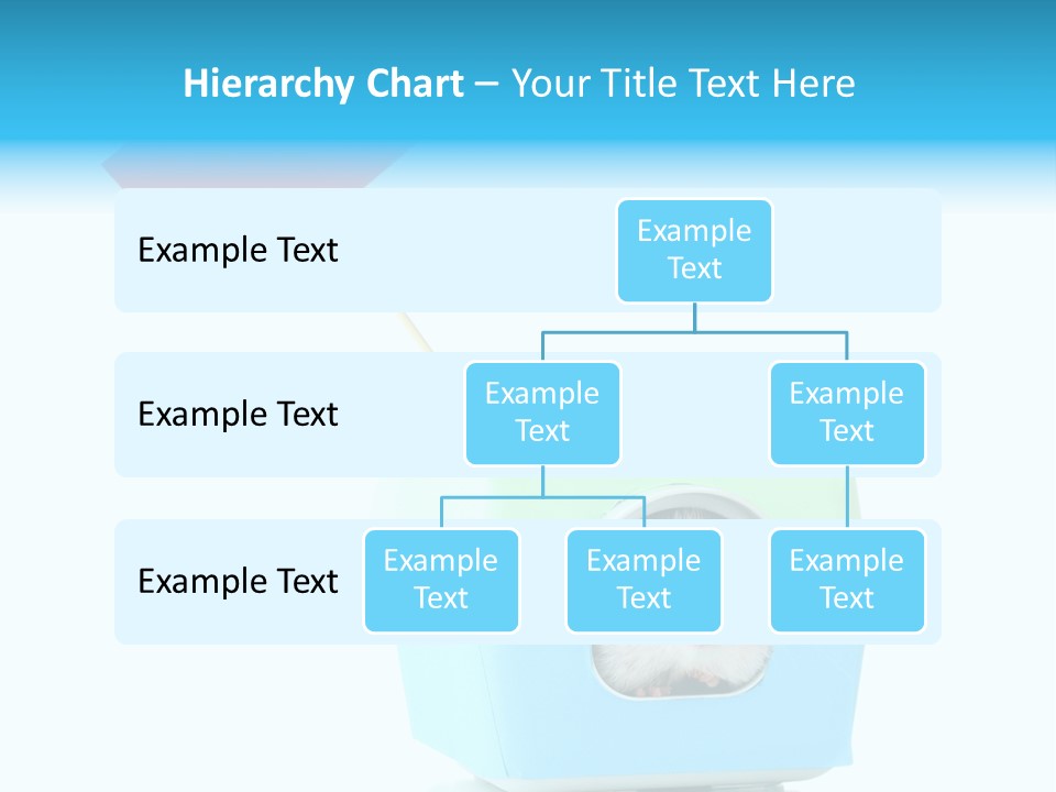 Background Cheek Hamster PowerPoint Template