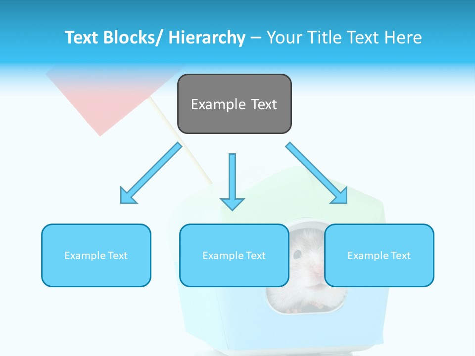 Background Cheek Hamster PowerPoint Template