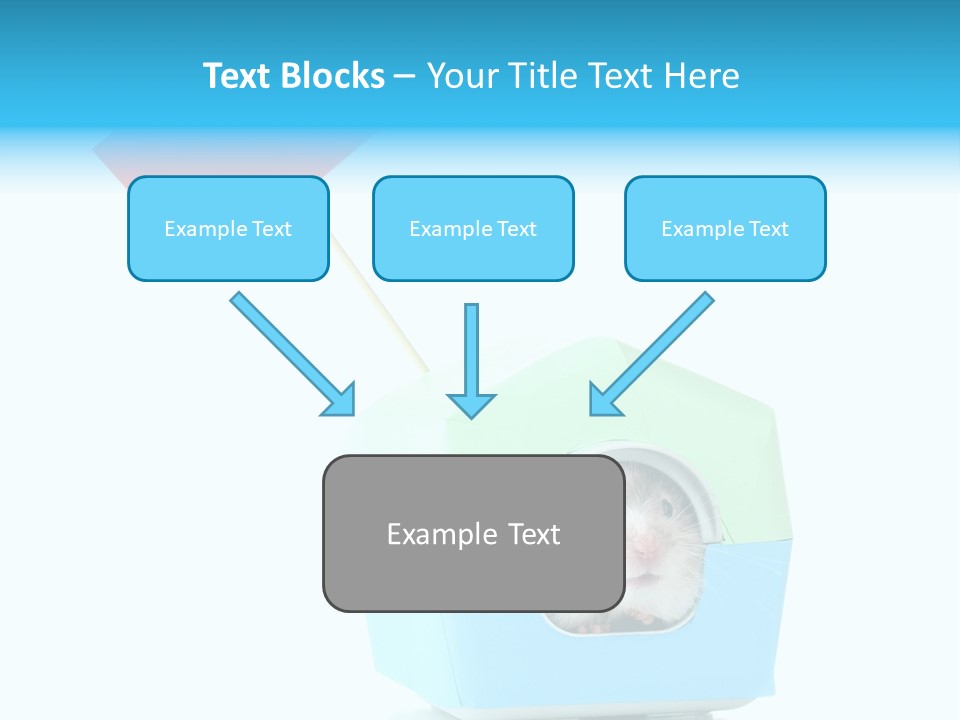 Background Cheek Hamster PowerPoint Template