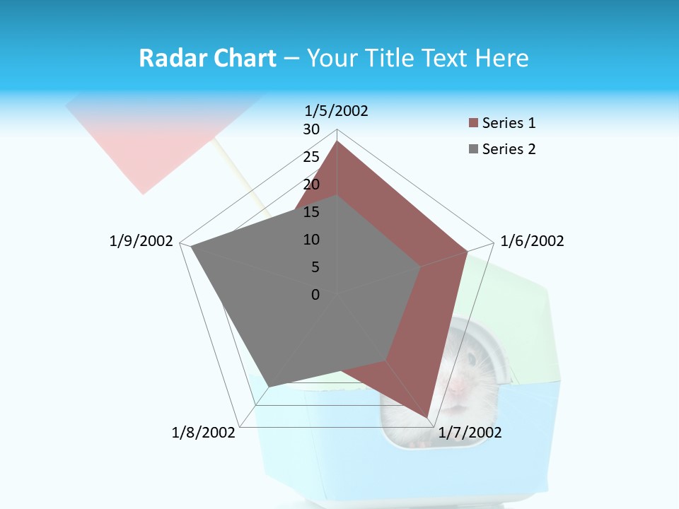 Background Cheek Hamster PowerPoint Template
