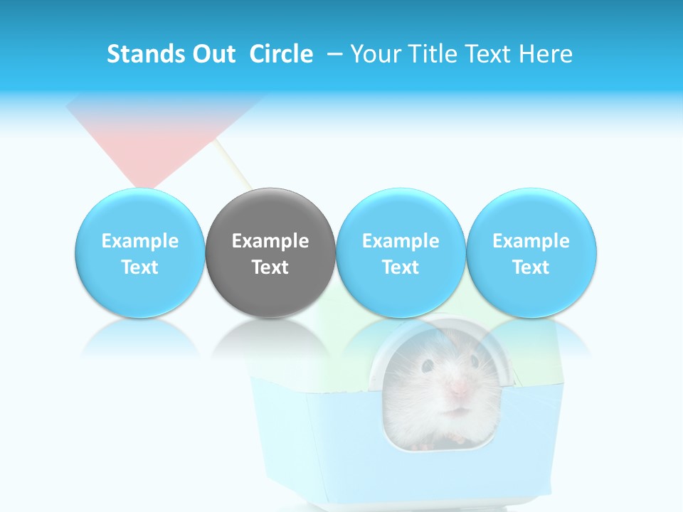 Background Cheek Hamster PowerPoint Template