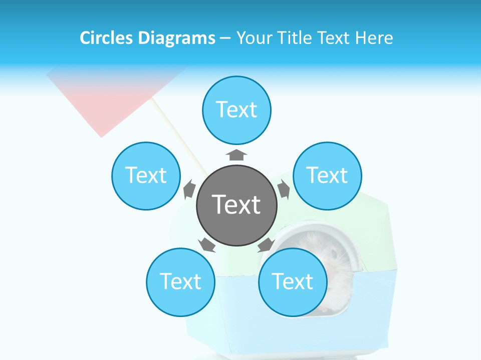 Background Cheek Hamster PowerPoint Template