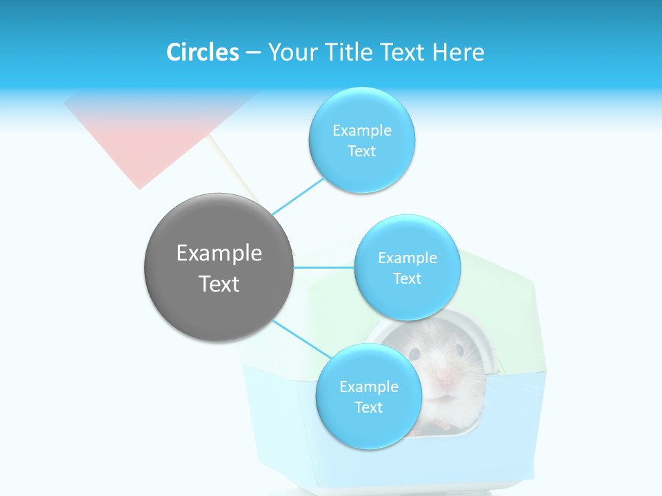 Background Cheek Hamster PowerPoint Template