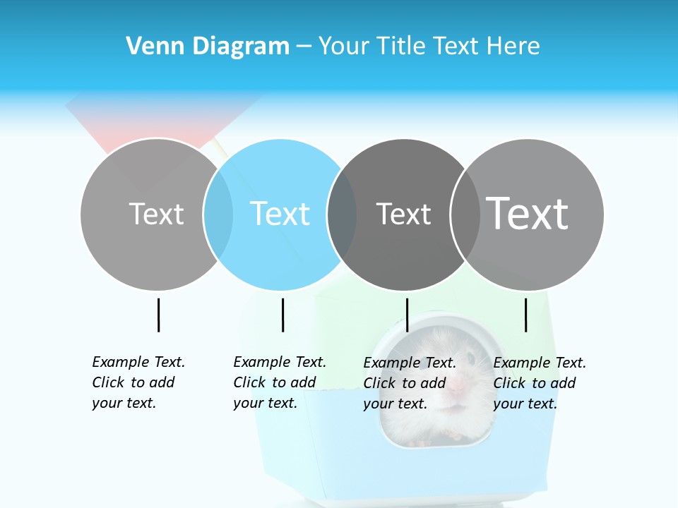 Background Cheek Hamster PowerPoint Template