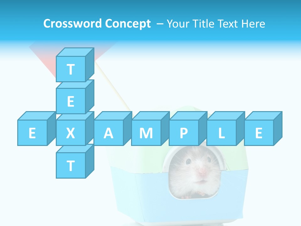 Background Cheek Hamster PowerPoint Template