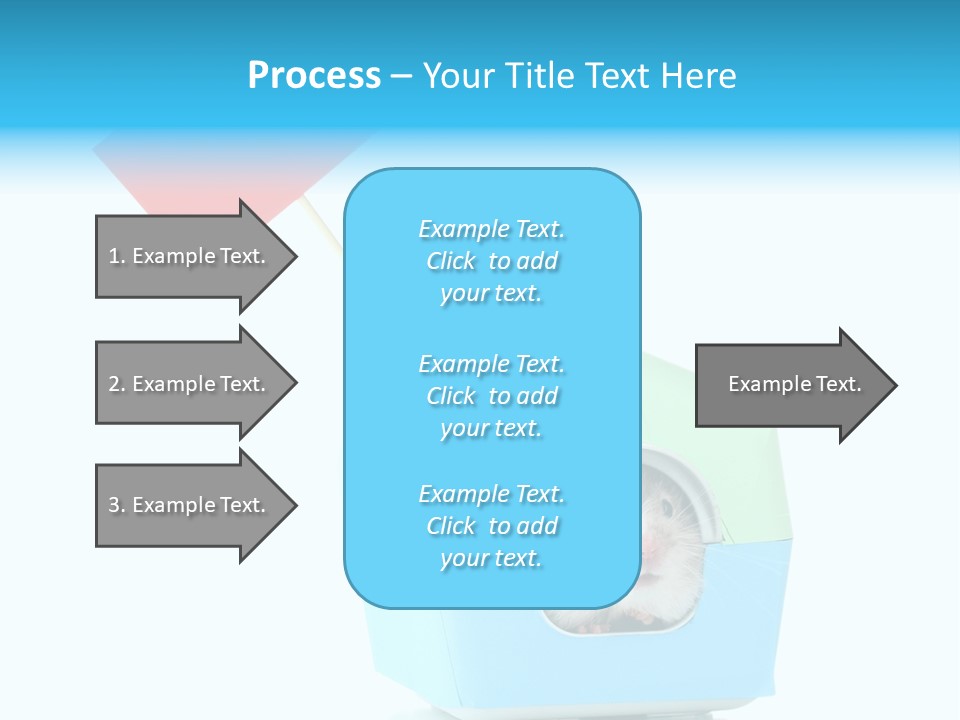 Background Cheek Hamster PowerPoint Template