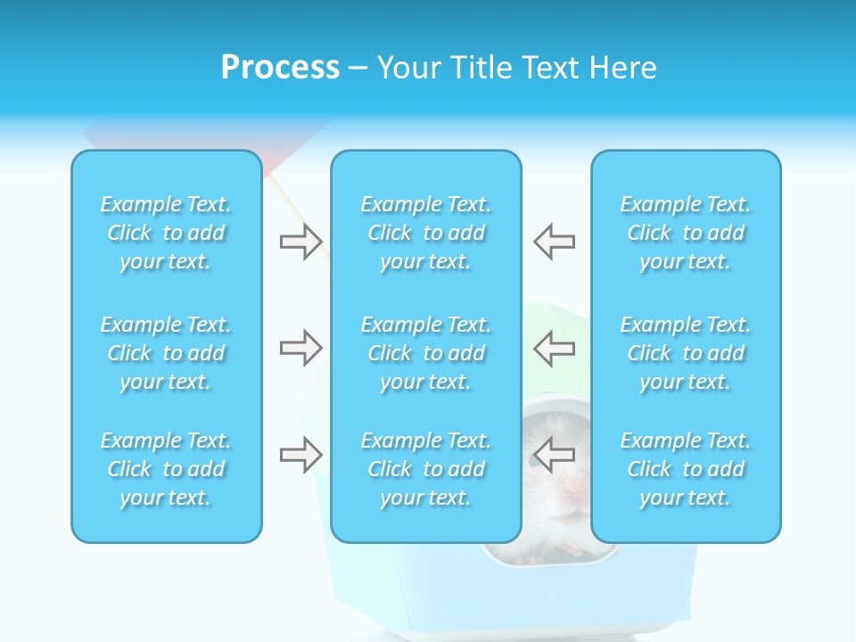 Background Cheek Hamster PowerPoint Template
