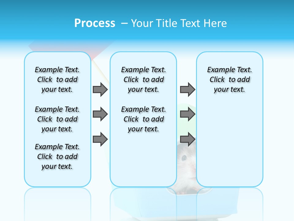 Background Cheek Hamster PowerPoint Template