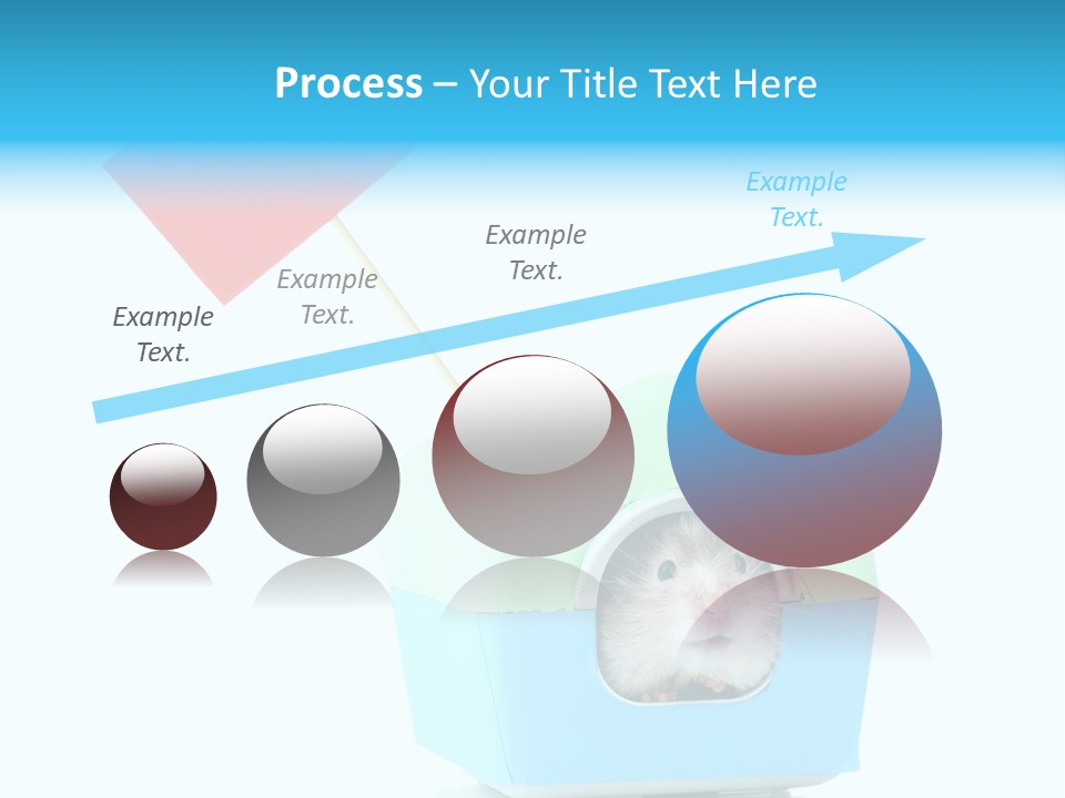 Background Cheek Hamster PowerPoint Template
