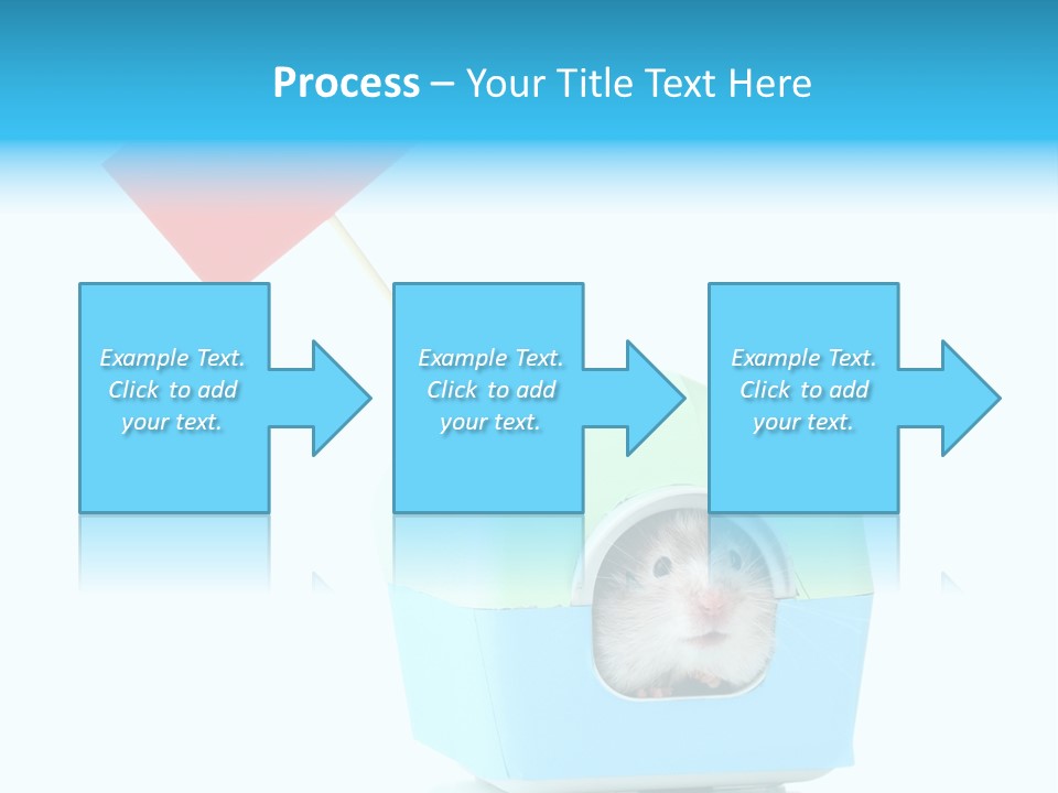 Background Cheek Hamster PowerPoint Template