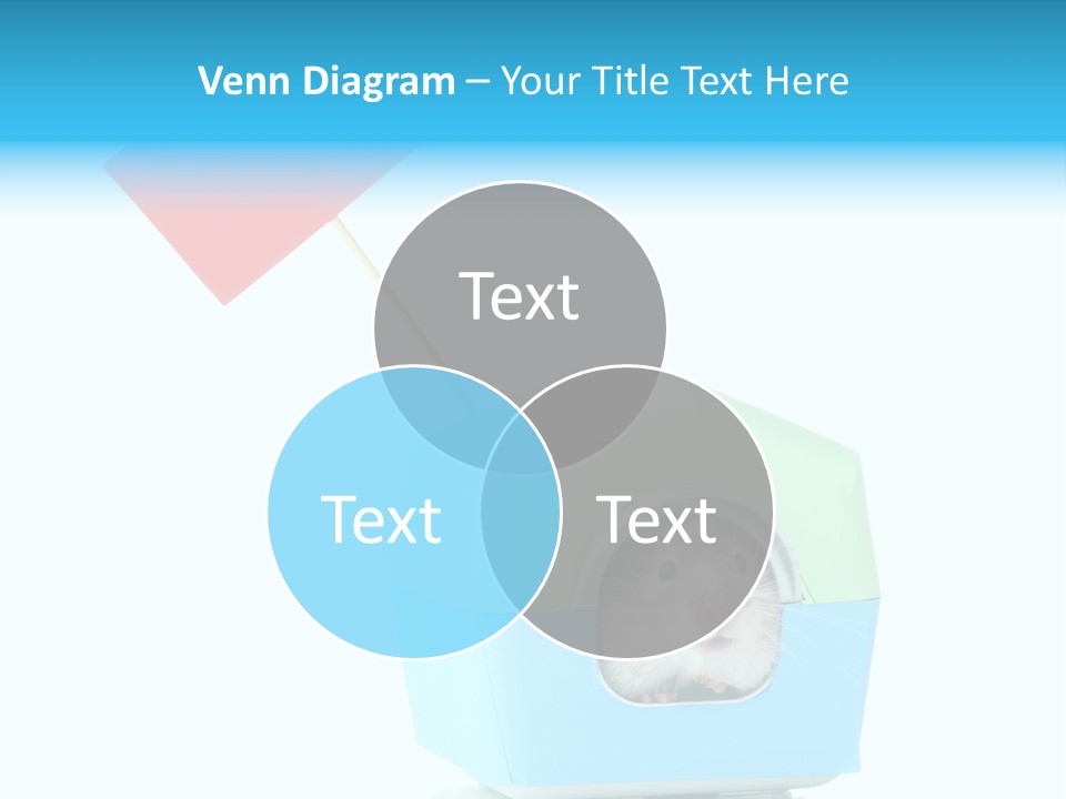 Background Cheek Hamster PowerPoint Template