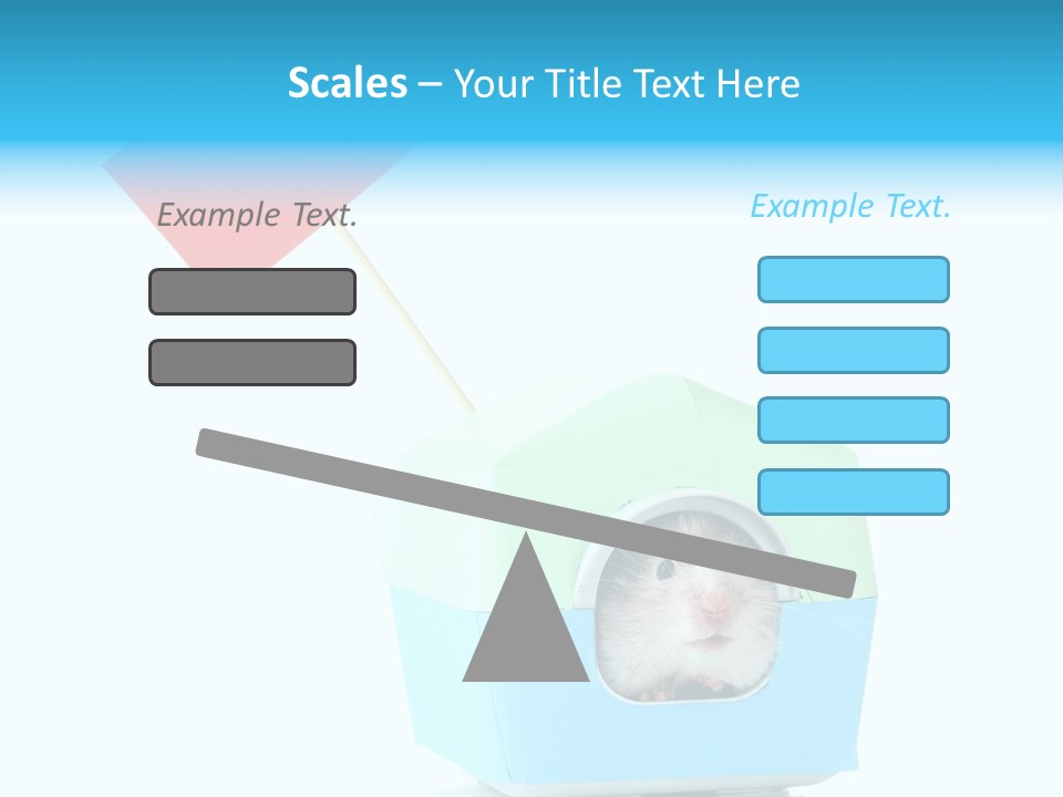 Background Cheek Hamster PowerPoint Template