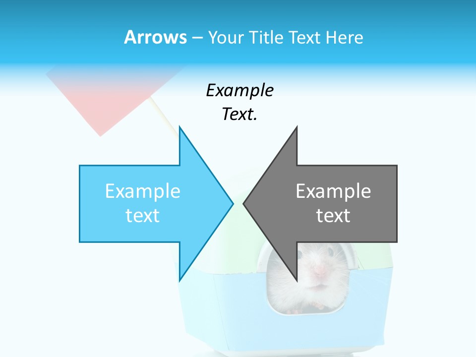 Background Cheek Hamster PowerPoint Template