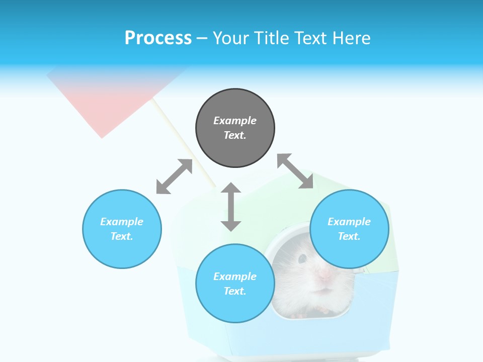 Background Cheek Hamster PowerPoint Template