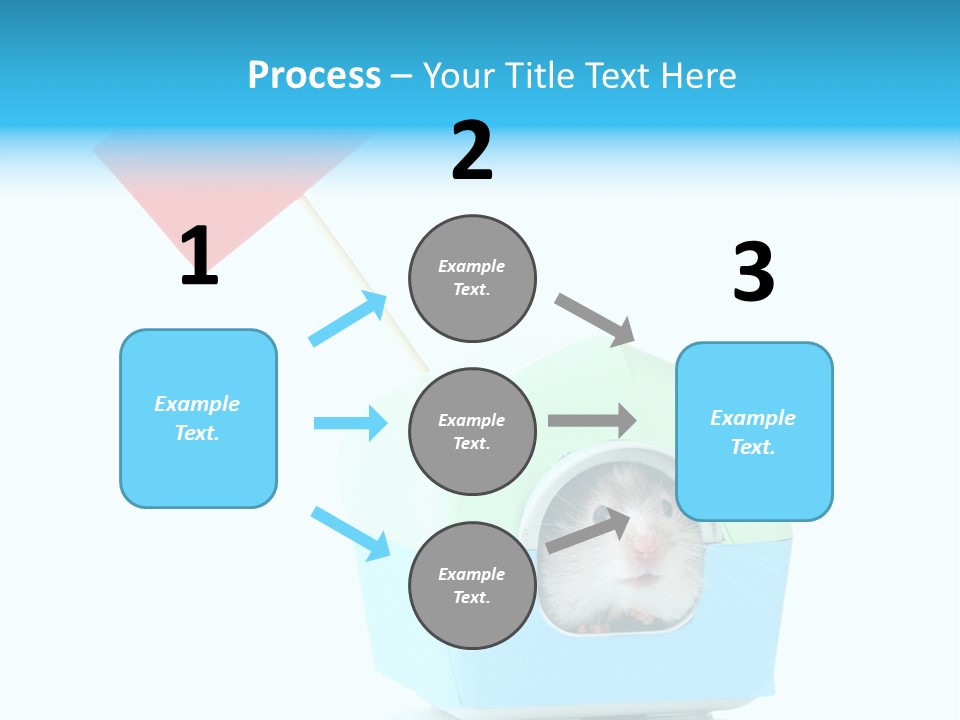 Background Cheek Hamster PowerPoint Template