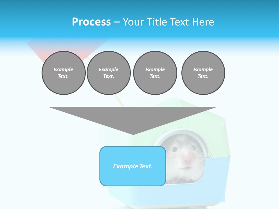 Background Cheek Hamster PowerPoint Template