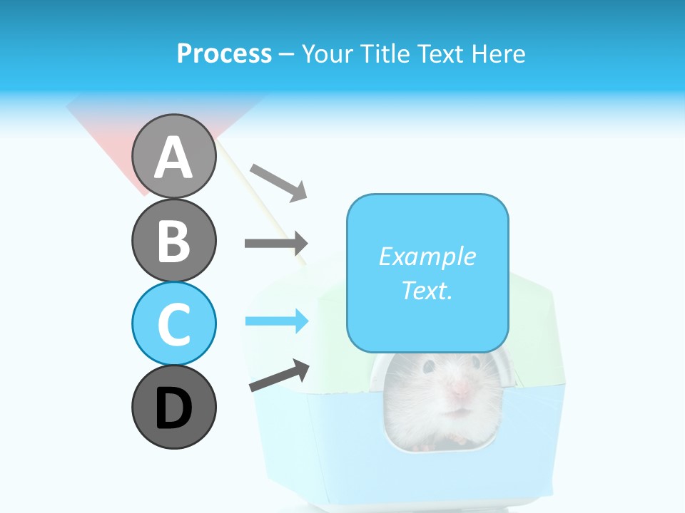 Background Cheek Hamster PowerPoint Template