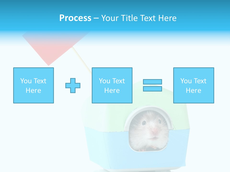 Background Cheek Hamster PowerPoint Template
