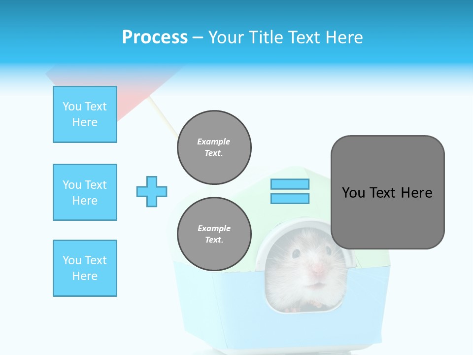 Background Cheek Hamster PowerPoint Template