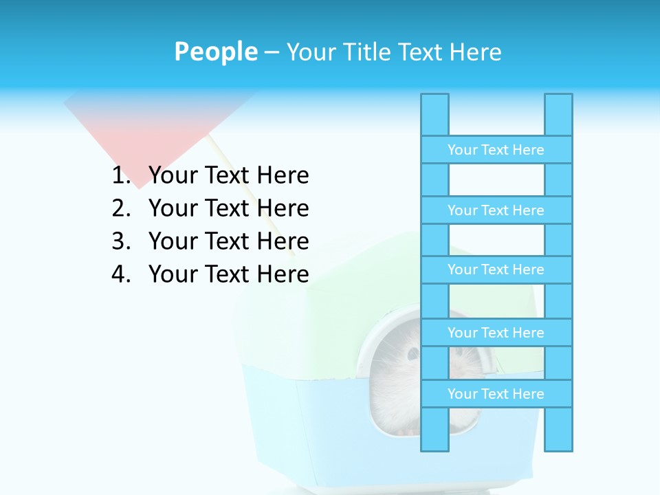 Background Cheek Hamster PowerPoint Template