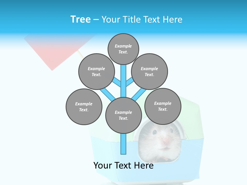 Background Cheek Hamster PowerPoint Template