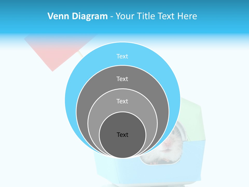 Background Cheek Hamster PowerPoint Template