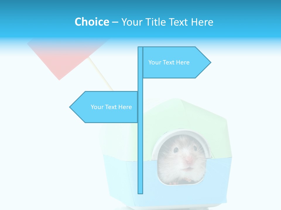 Background Cheek Hamster PowerPoint Template