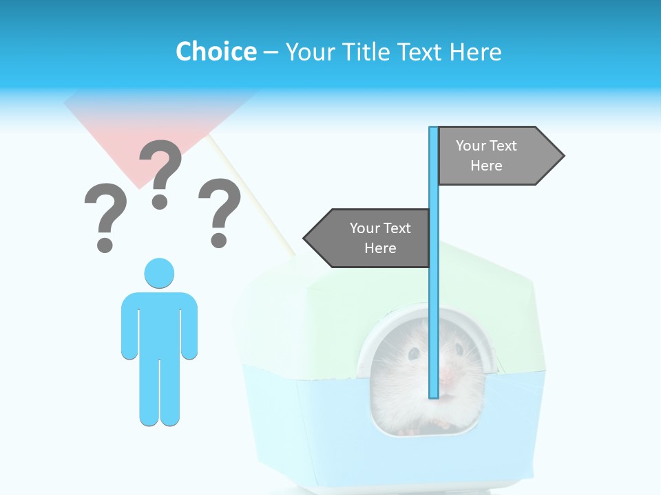 Background Cheek Hamster PowerPoint Template