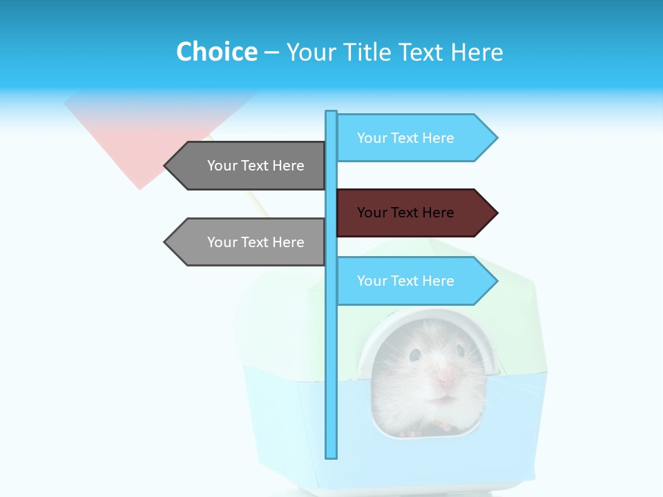 Background Cheek Hamster PowerPoint Template