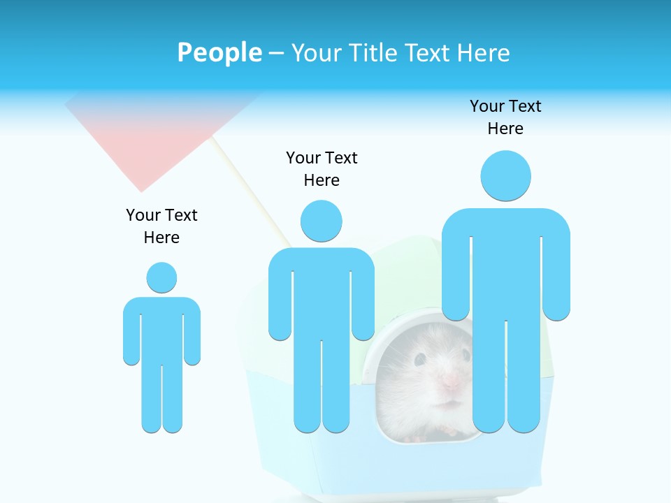 Background Cheek Hamster PowerPoint Template