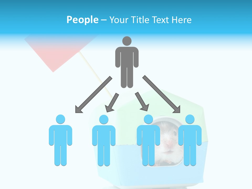 Background Cheek Hamster PowerPoint Template