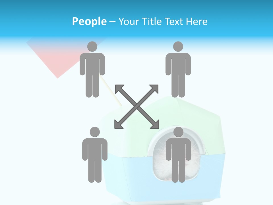 Background Cheek Hamster PowerPoint Template